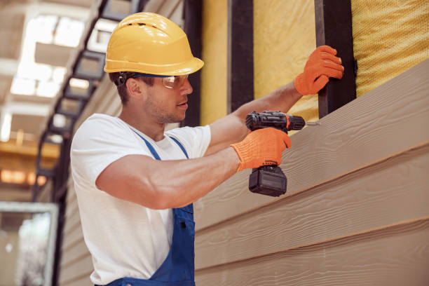 Best Siding Painting and Refinishing  in Abernathy, TX